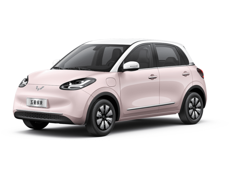 Wuling Binguo