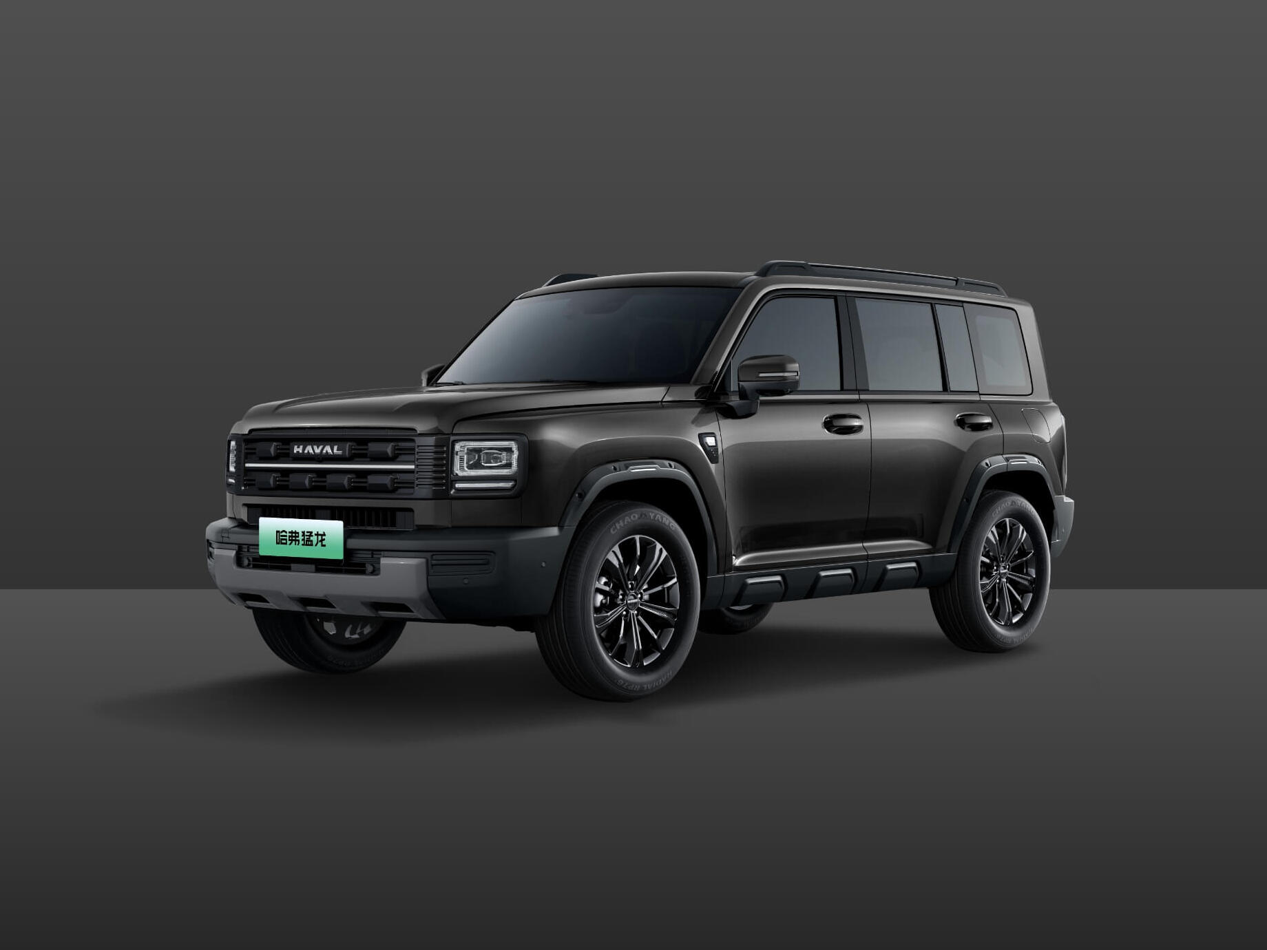 Haval Raptor