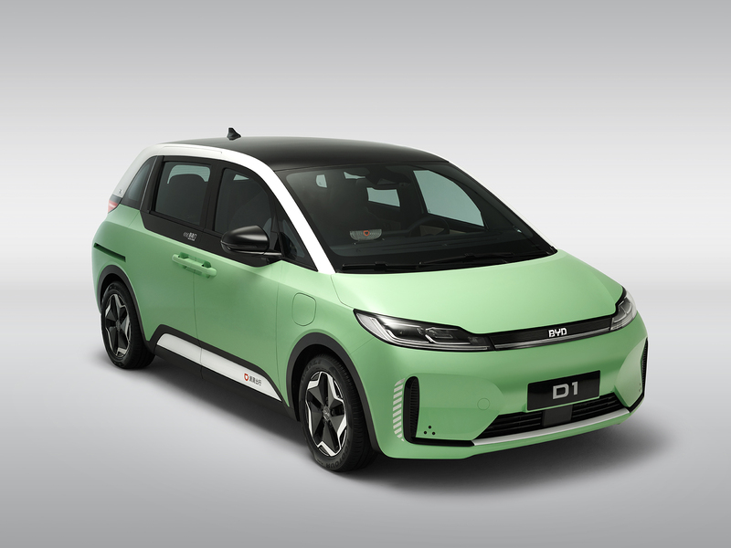Byd D1